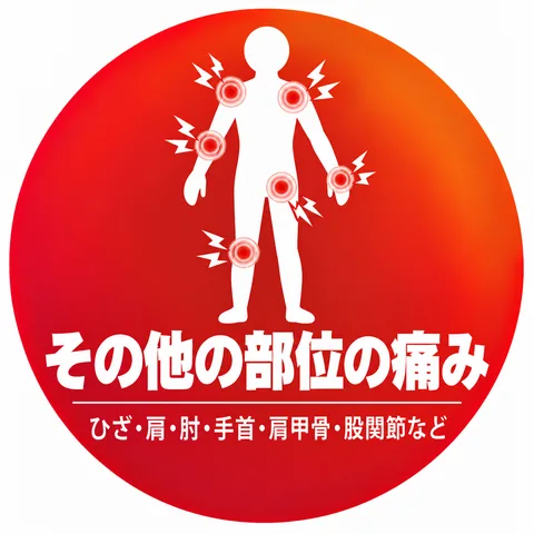 その他の部位の痛み